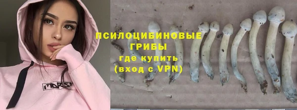 бошки Алексин