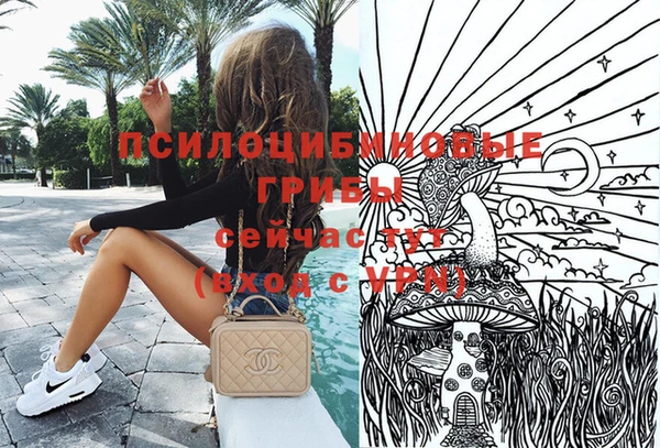 бошки Алексин