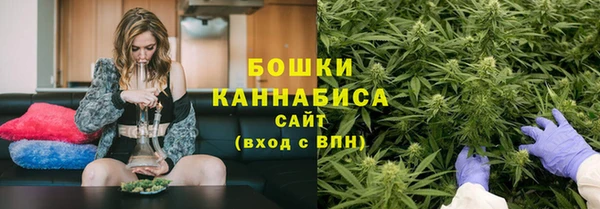 молекула духа Нея