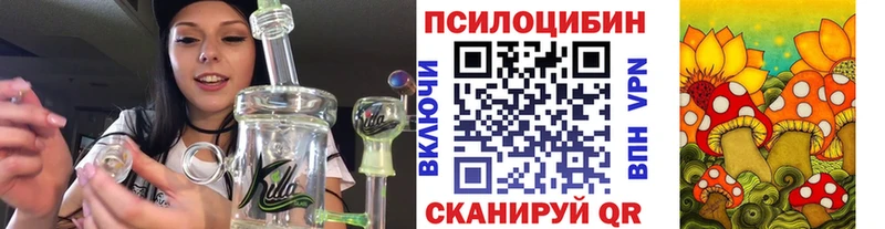 Псилоцибиновые грибы Cubensis  ОМГ ОМГ ССЫЛКА  Норильск 